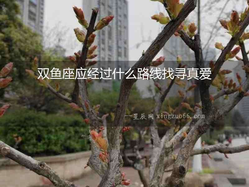雙魚座應(yīng)經(jīng)過什么路線找尋真愛