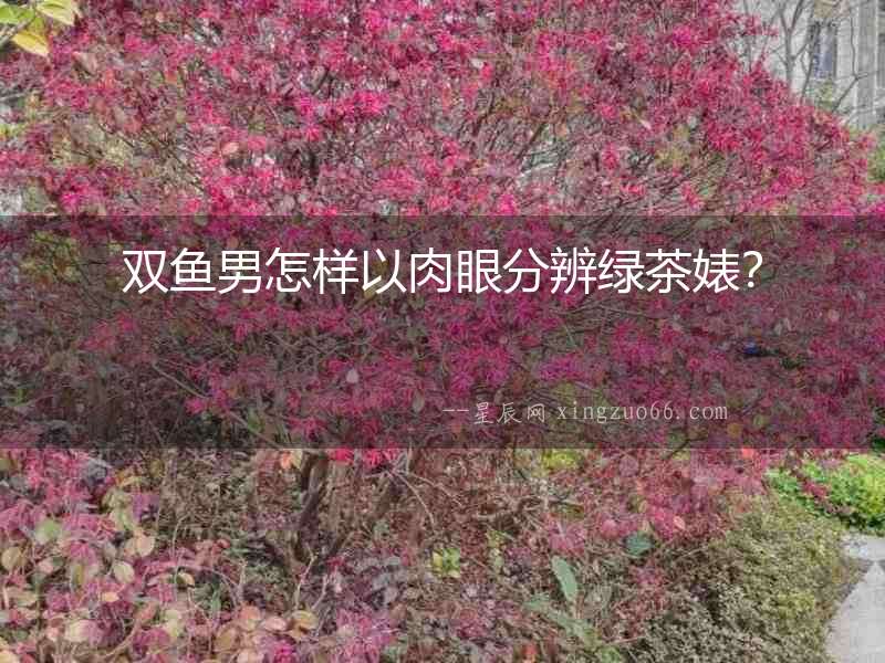 雙魚男怎樣以肉眼分辨綠茶婊？