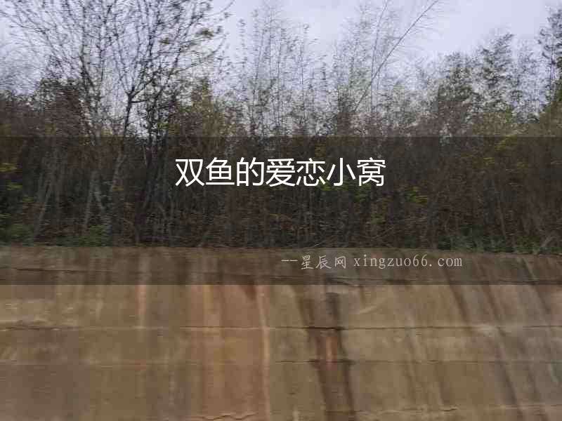 雙魚的愛戀小窩