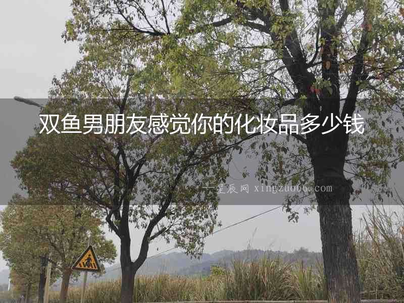 雙魚男朋友感覺(jué)你的化妝品多少錢
