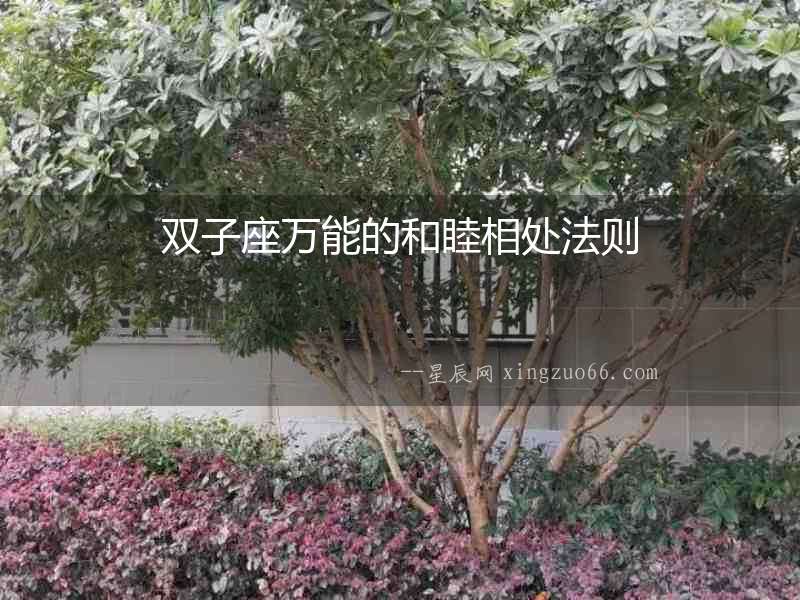 雙子座萬能的和睦相處法則