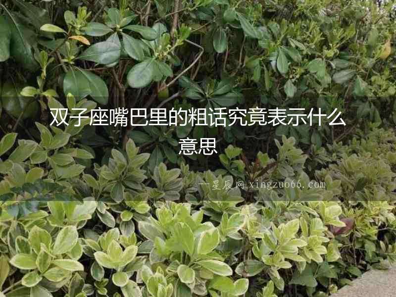 雙子座嘴巴里的粗話究竟表示什么意思