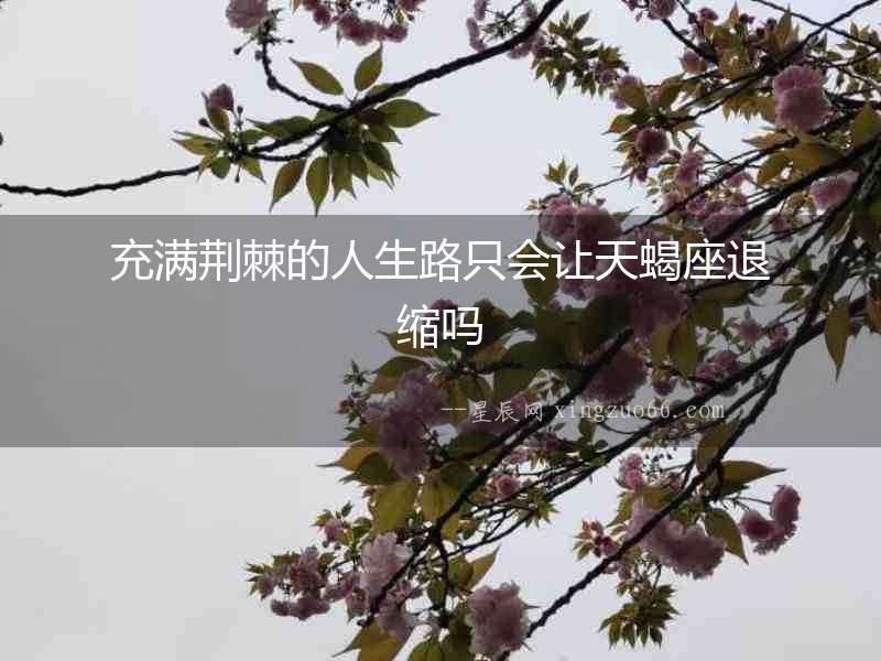 充滿荊棘的人生路只會讓天蝎座退縮嗎