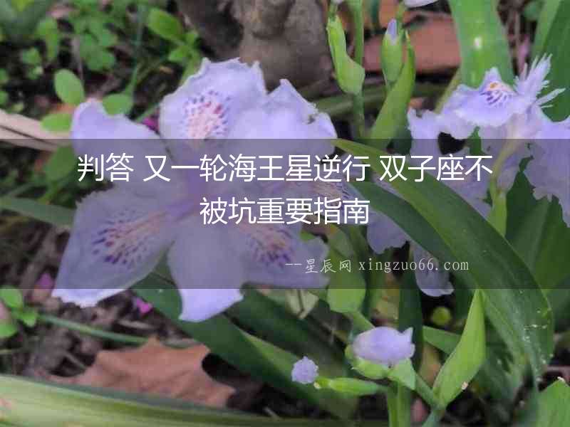 判答 又一輪海王星逆行 雙子座不被坑重要指南