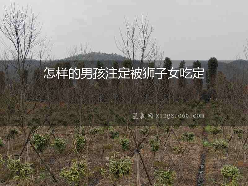 怎樣的男孩注定被獅子女吃定