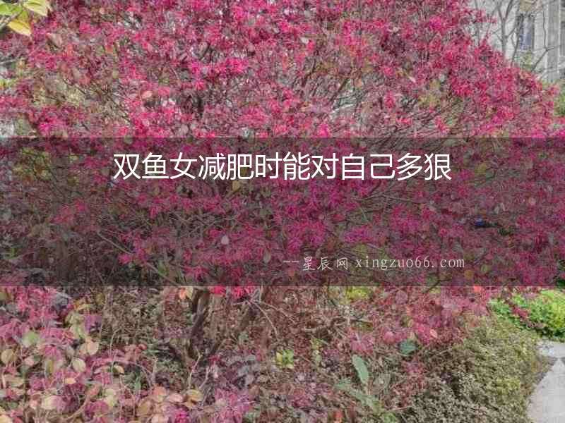 雙魚女減肥時能對自己多狠