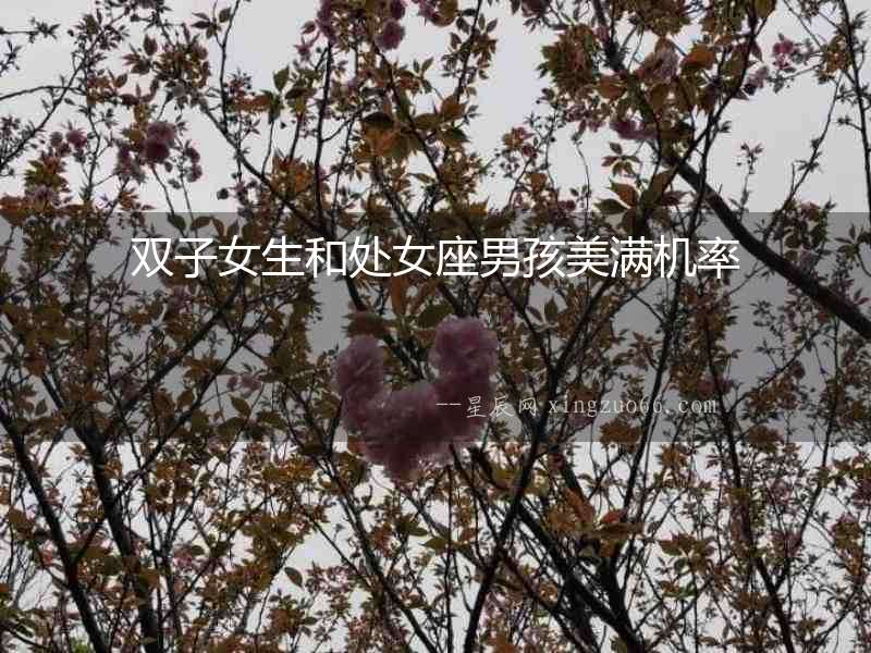 雙子女生和處女座男孩美滿機率