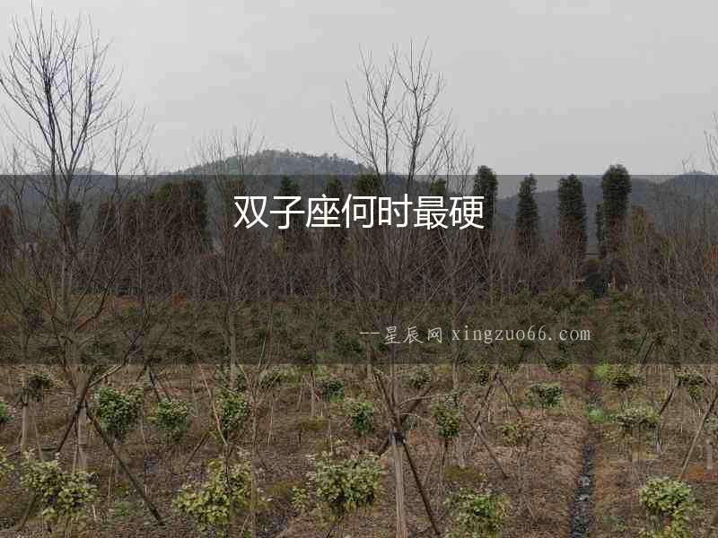 雙子座何時最硬