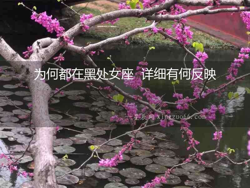 為何都在黑處女座  詳細有何反映