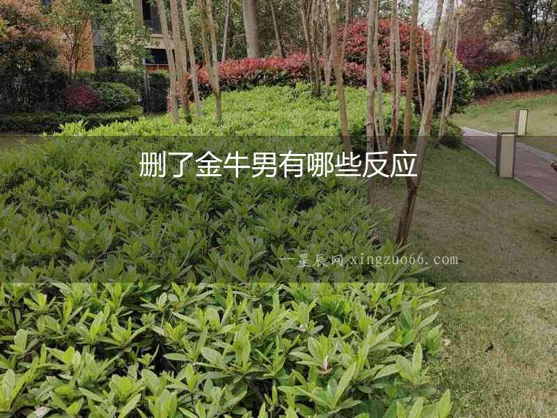 刪了金牛男有哪些反應