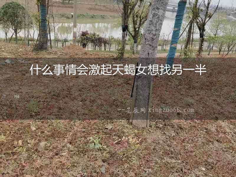 什么事情會激起天蝎女想找另一半