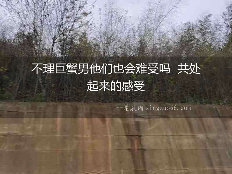 不理巨蟹男他們也會難受嗎  共處起來的感受