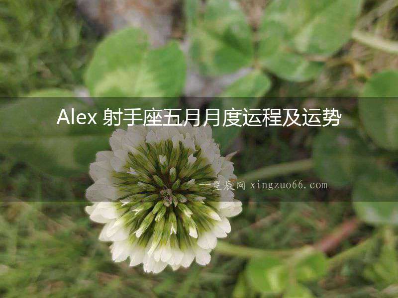 Alex 射手座五月月度運程及運勢