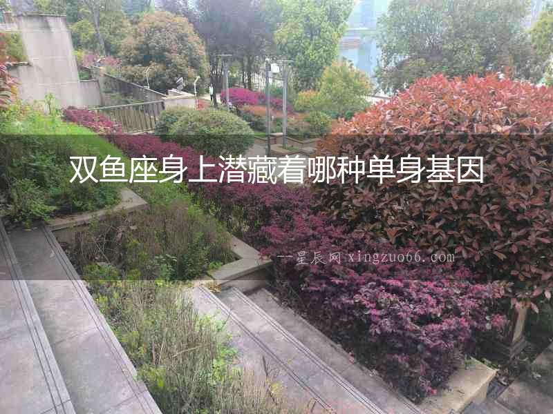 雙魚座身上潛藏著哪種單身基因