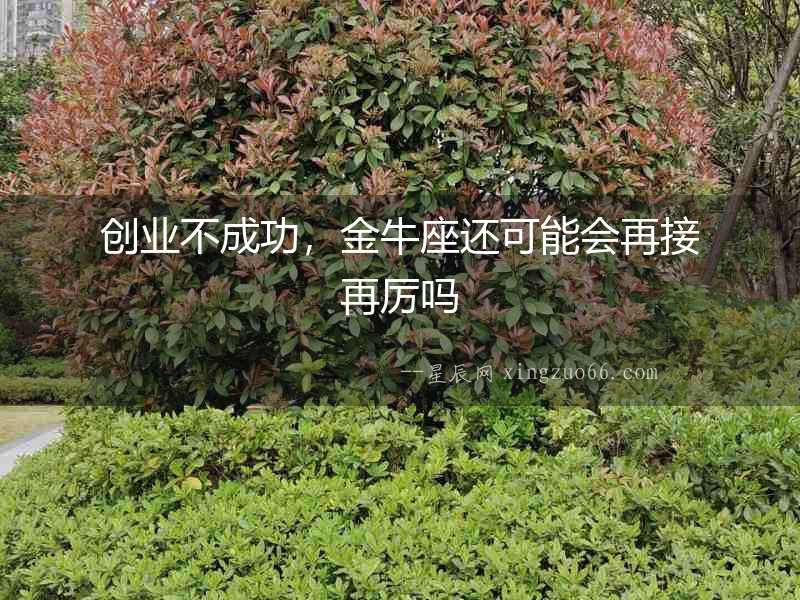 創(chuàng)業(yè)不成功，金牛座還可能會(huì)再接再厲嗎