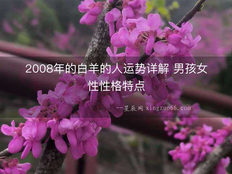 2008年的白羊的人運勢詳解 男孩女性性格特點