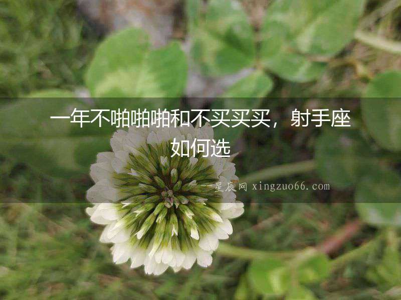 一年不啪啪啪和不買買買，射手座如何選