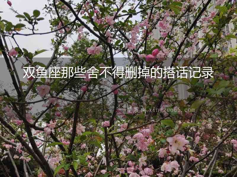 雙魚座那些舍不得刪掉的搭話記錄