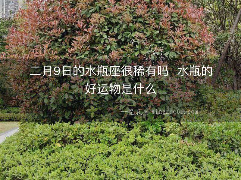 二月9日的水瓶座很稀有嗎  水瓶的好運物是什么