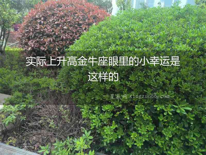 實際上升高金牛座眼里的小幸運是這樣的