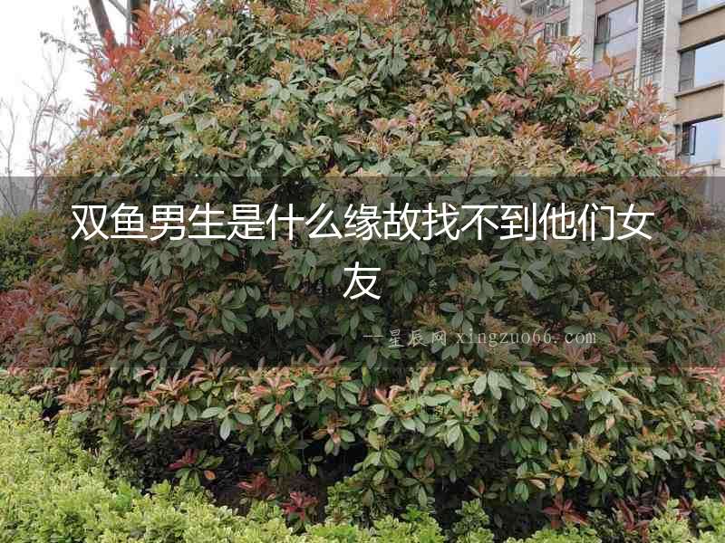 雙魚男生是什么緣故找不到他們女友