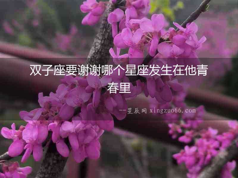 雙子座要謝謝哪個(gè)星座發(fā)生在他青春里
