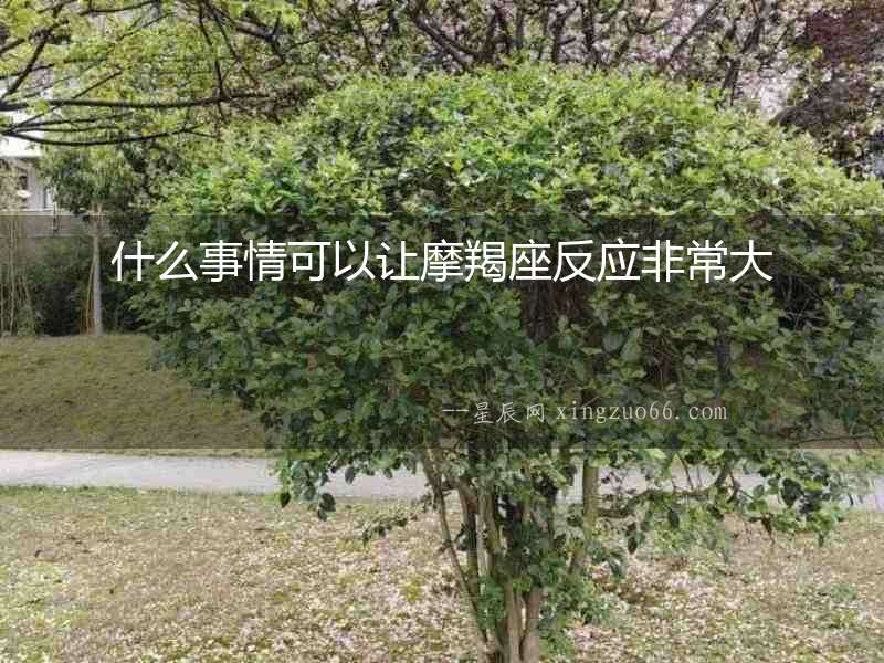什么事情可以讓摩羯座反應非常大