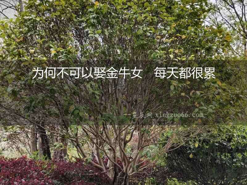 為何不可以娶金牛女   每天都很累