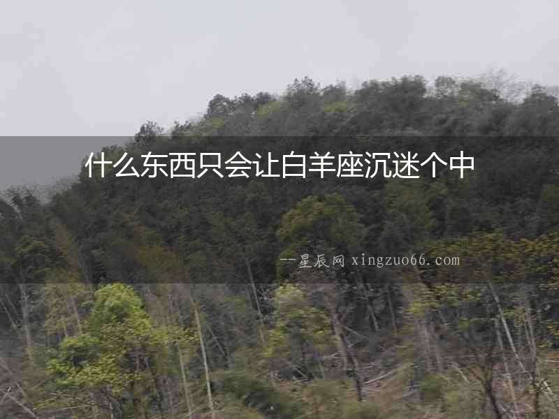 什么東西只會讓白羊座沉迷個中