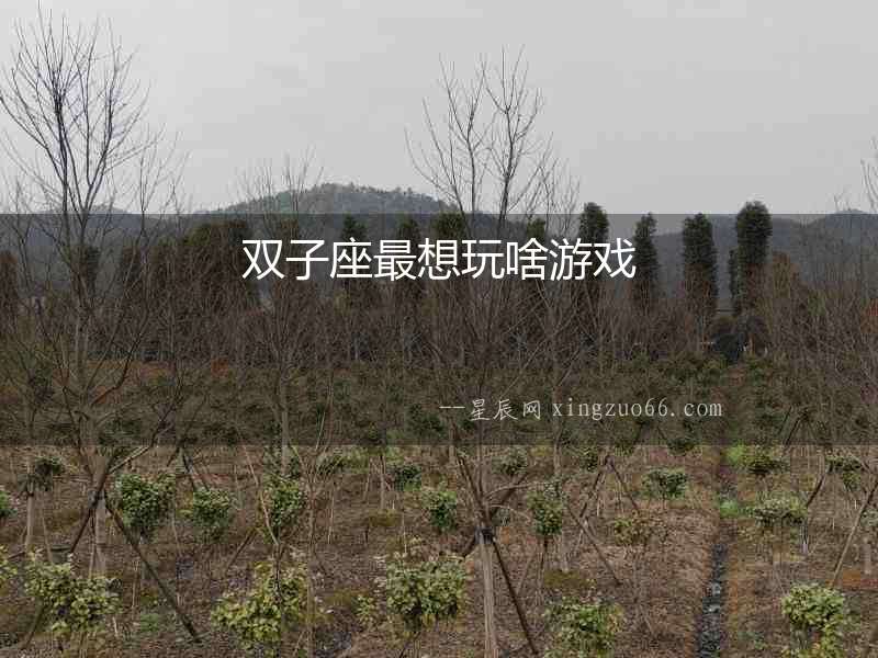 雙子座最想玩啥游戲