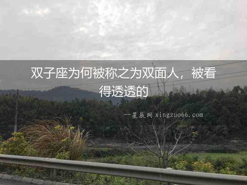 雙子座為何被稱之為雙面人，被看得透透的