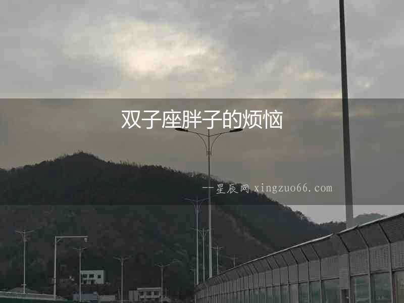 雙子座胖子的煩惱