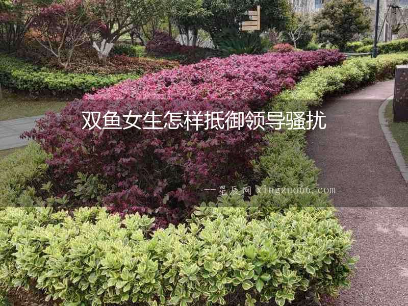 雙魚女生怎樣抵御領導騷擾