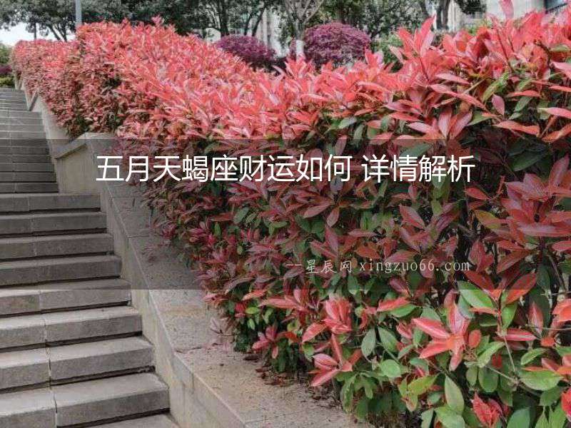 五月天蝎座財運如何 詳情解析