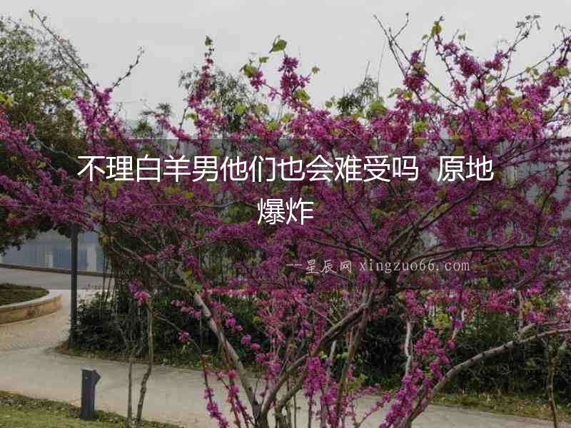 不理白羊男他們也會難受嗎  原地爆炸