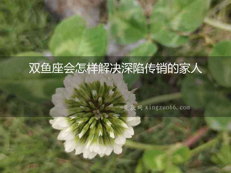 雙魚(yú)座會(huì)怎樣解決深陷傳銷(xiāo)的家人