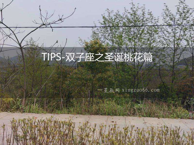 TIPS-雙子座之圣誕桃花篇