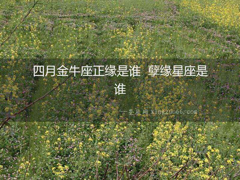 四月金牛座正緣是誰  孽緣星座是誰