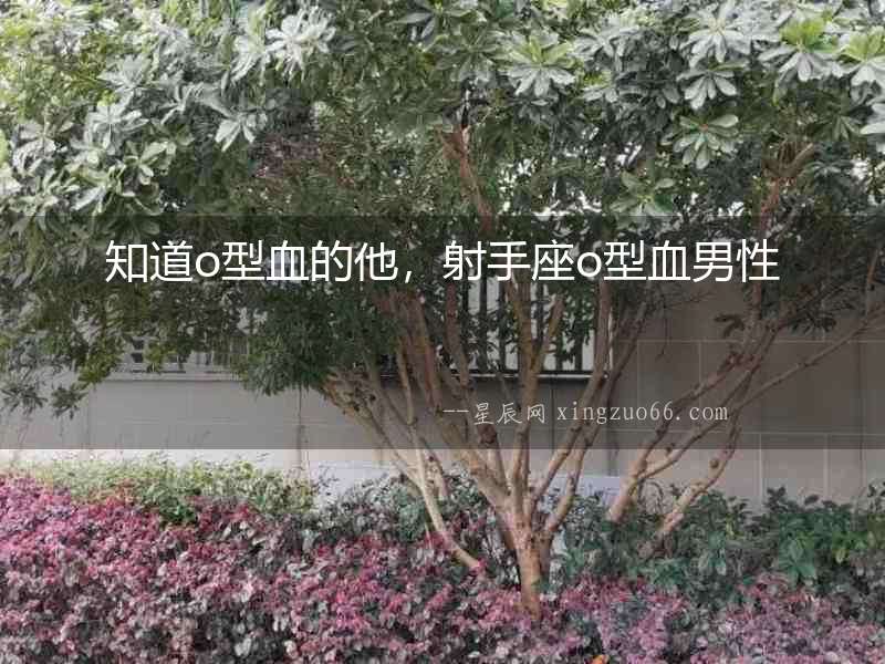 知道o型血的他，射手座o型血男性