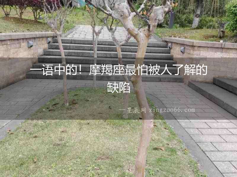 一語中的！摩羯座最怕被人了解的缺陷