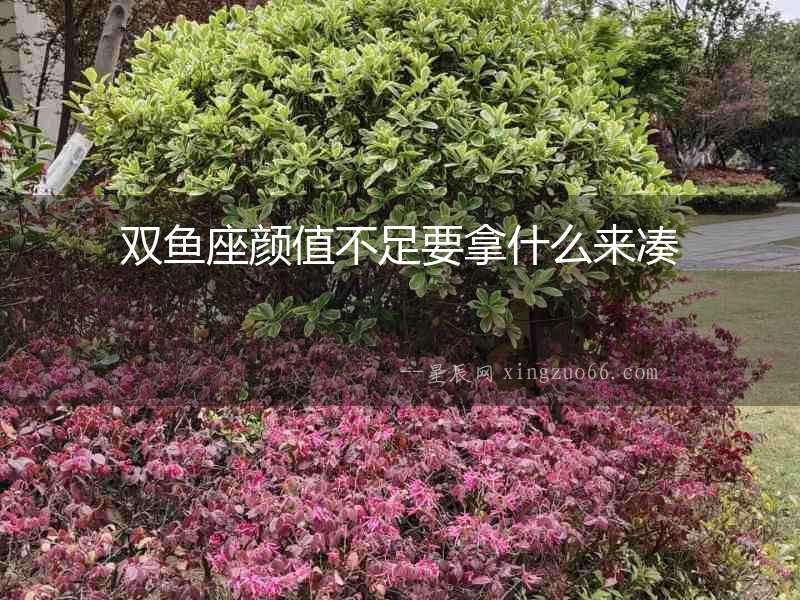 雙魚座顏值不足要拿什么來湊