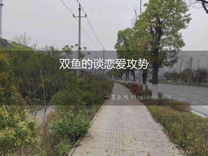 雙魚的談戀愛攻勢
