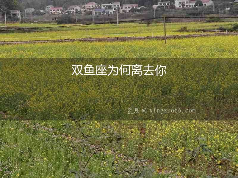雙魚座為何離去你