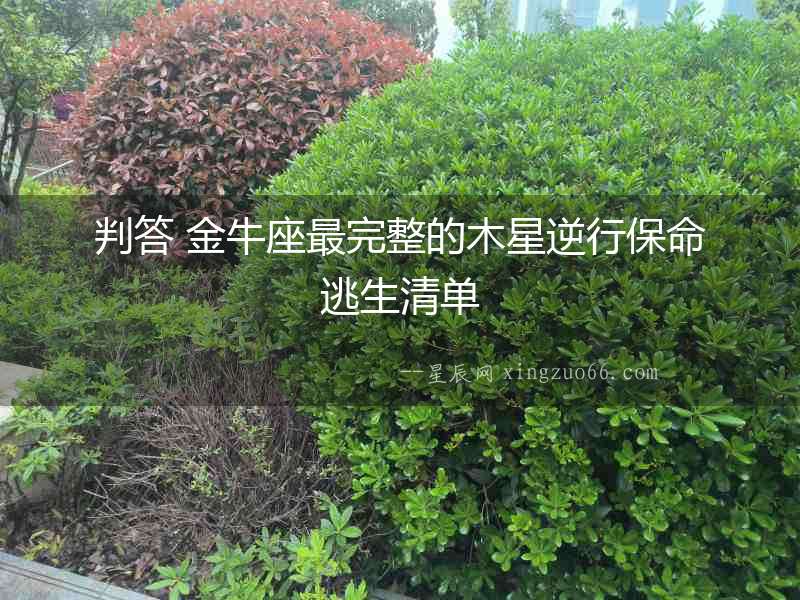 判答 金牛座最完整的木星逆行保命逃生清單