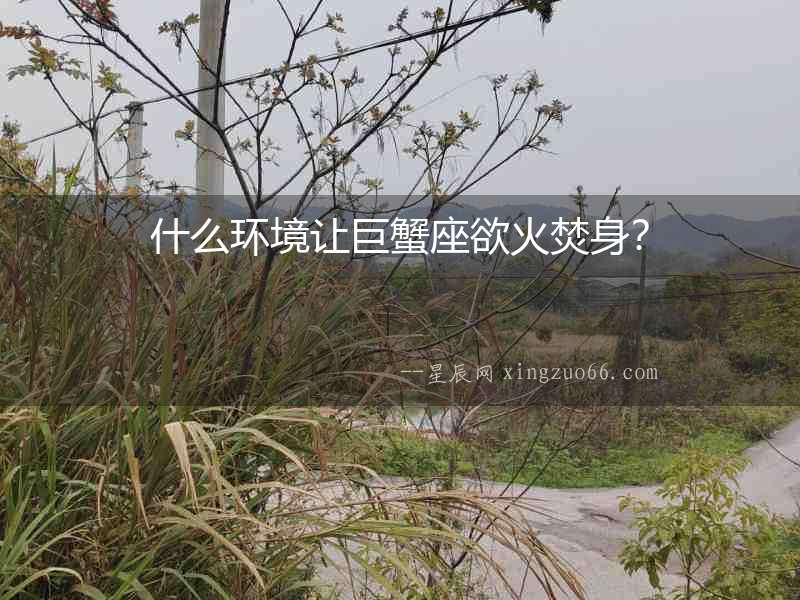 什么環(huán)境讓巨蟹座欲火焚身？
