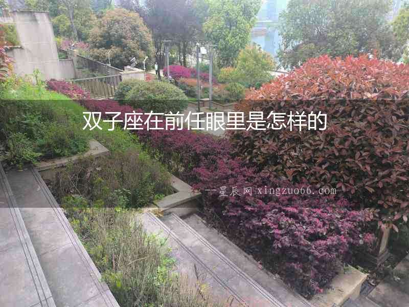雙子座在前任眼里是怎樣的