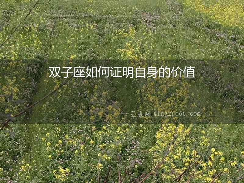 雙子座如何證明自身的價值
