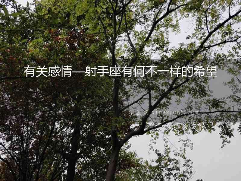 有關感情—射手座有何不一樣的希望