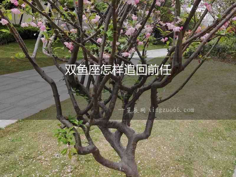 雙魚座怎樣追回前任