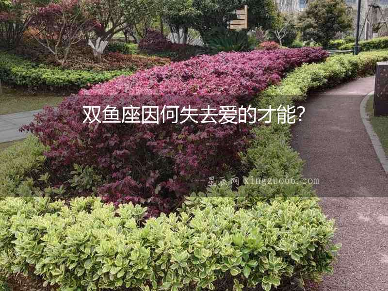 雙魚座因何失去愛的才能？